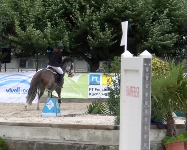 Reitturnier Balsthal 2024