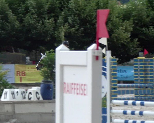 Reitturnier Balsthal 2024