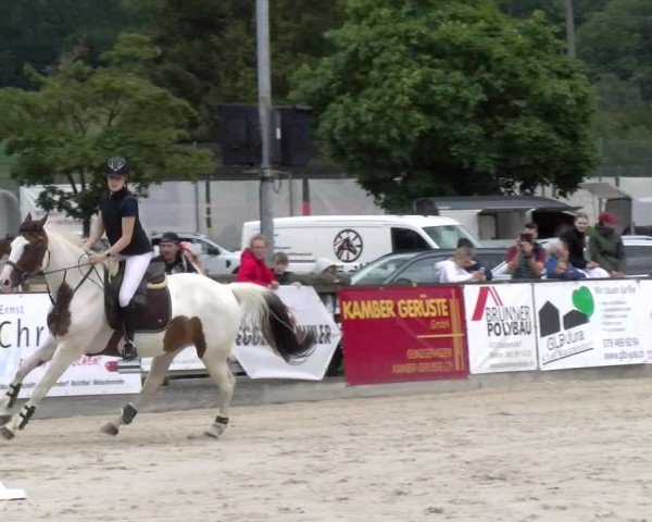 Reitturnier Balsthal 2024