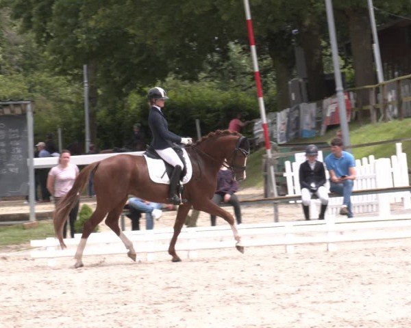 Reitturnier Fröndenberg 2024