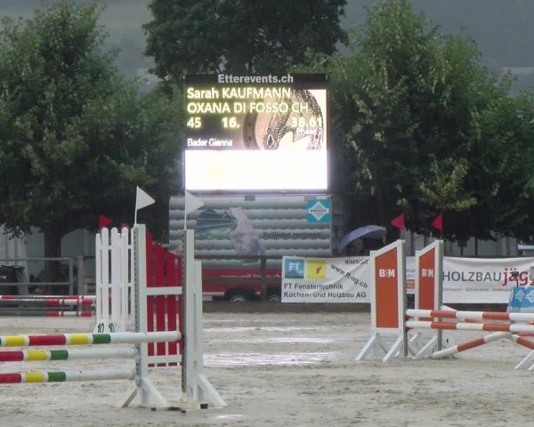 Reitturnier Balsthal 2024