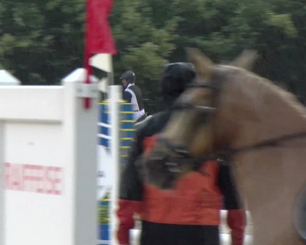 Reitturnier Balsthal 2024