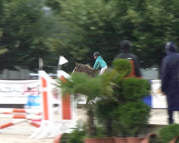 Reitturnier Balsthal 2024