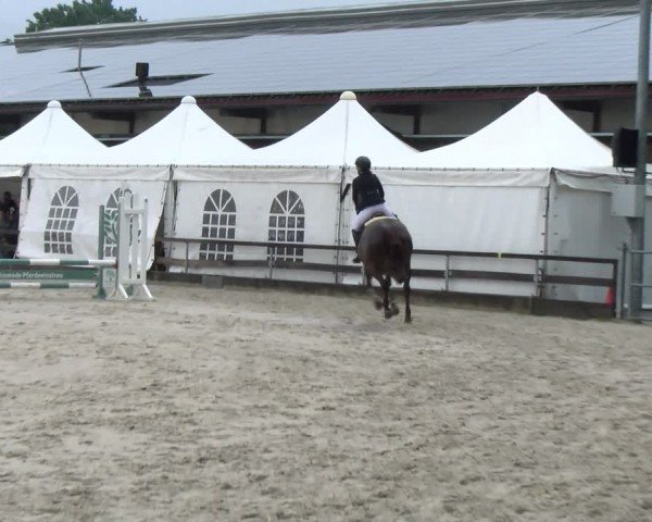 Reitturnier Balsthal 2024
