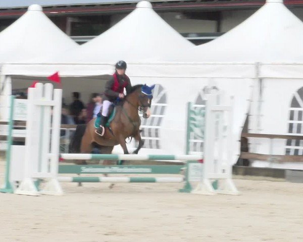 Reitturnier Balsthal 2024