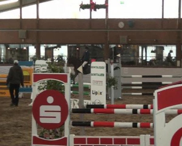 Reitturnier Südlohn-Oeding 2013