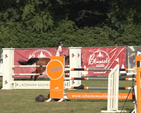 Reitturnier Wohlesbostel 2024