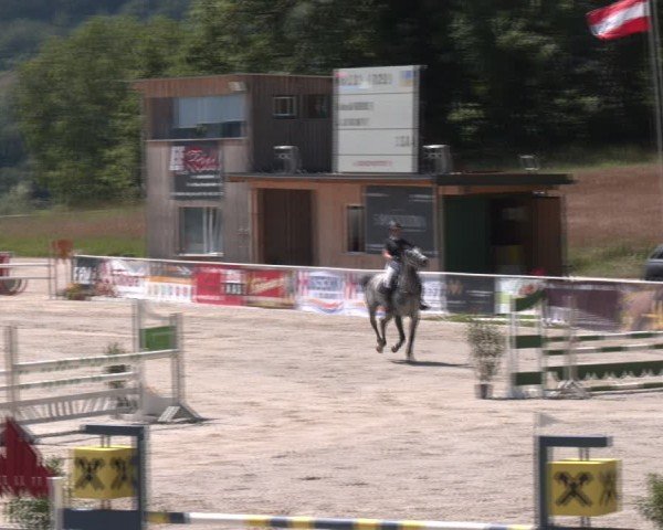 Springturnier Seewalchen 2024
