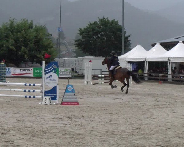 Reitturnier Balsthal 2024