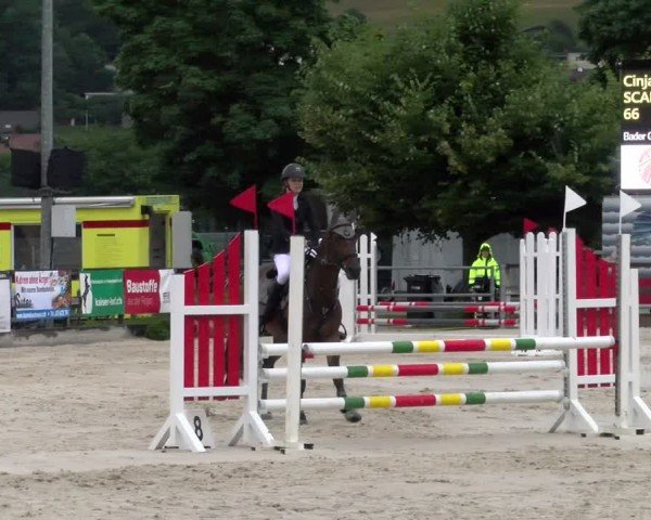 Reitturnier Balsthal 2024