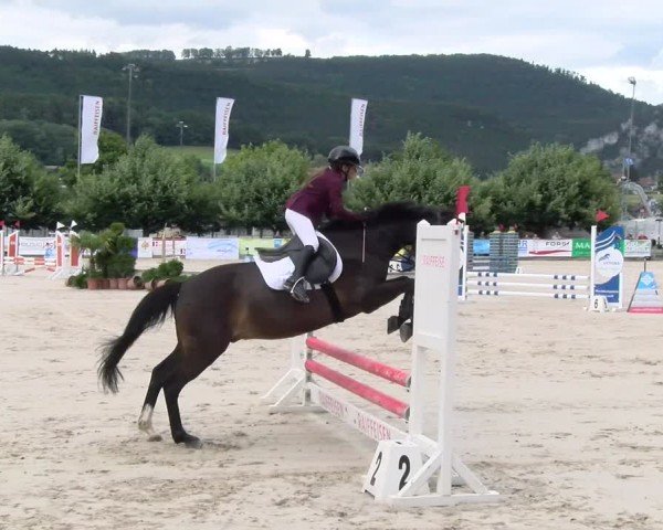 Reitturnier Balsthal 2024