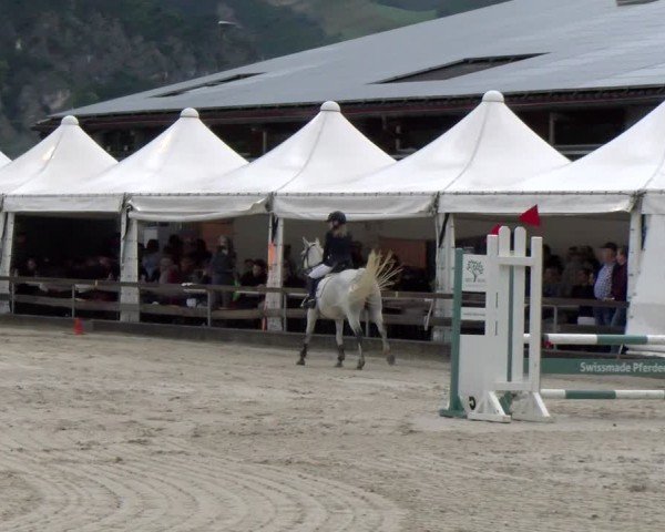 Reitturnier Balsthal 2024