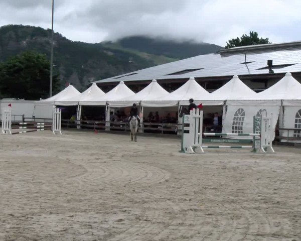 Reitturnier Balsthal 2024