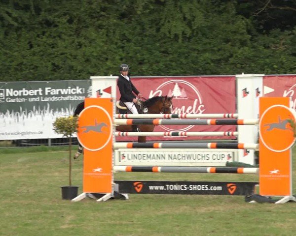 Reitturnier Wohlesbostel 2024