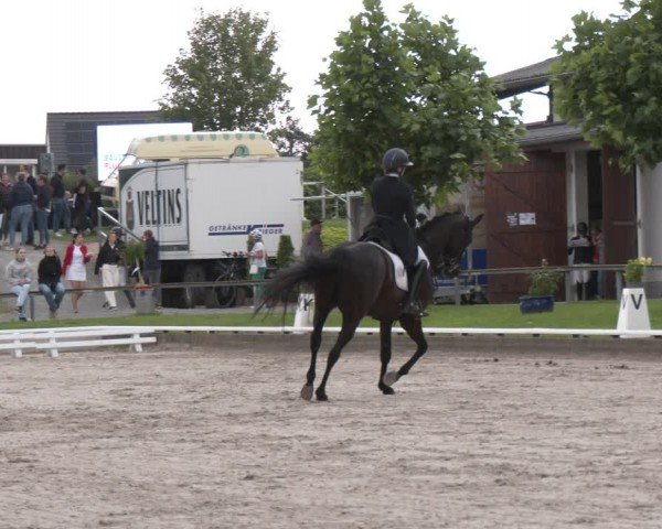 Reitturnier Fröndenberg 2024