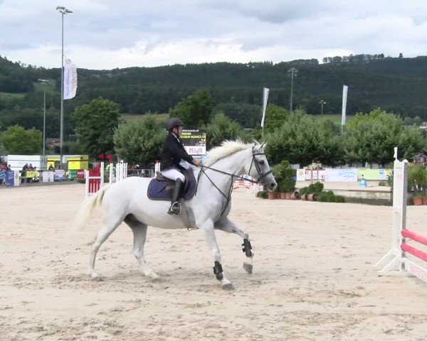 Reitturnier Balsthal 2024