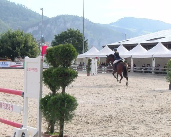 Reitturnier Balsthal 2024