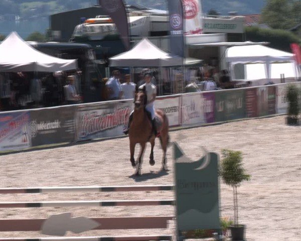 Springturnier Seewalchen 2024