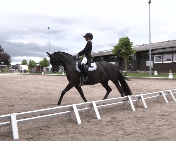 Reitturnier Fröndenberg 2024