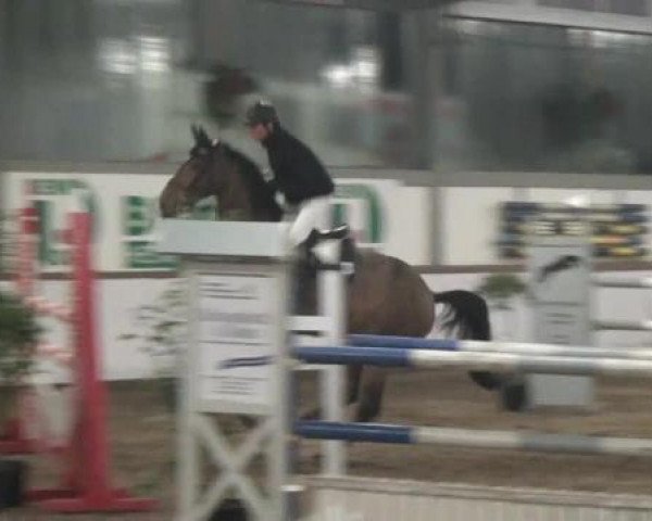 Reitturnier Südlohn-Oeding 2013