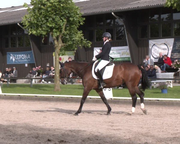 Reitturnier Fröndenberg 2024