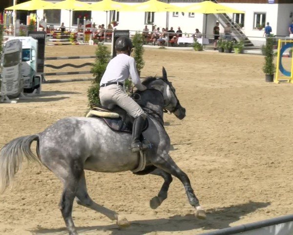 Reitturnier Rankweil 2024