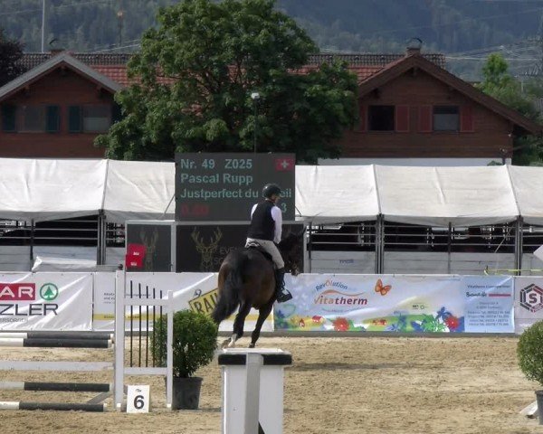 Reitturnier Rankweil 2024