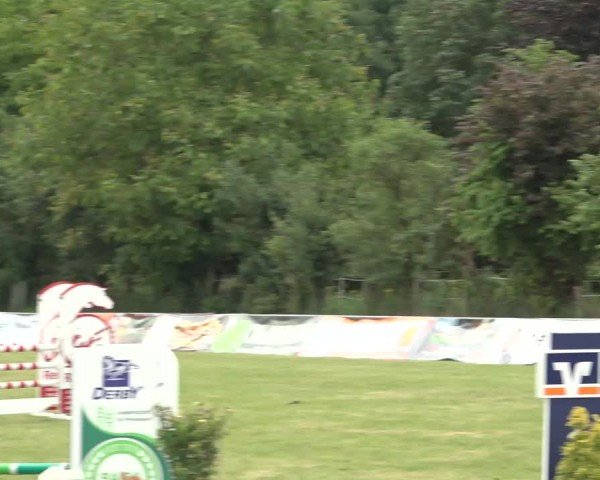Reitturnier Wohlesbostel 2024