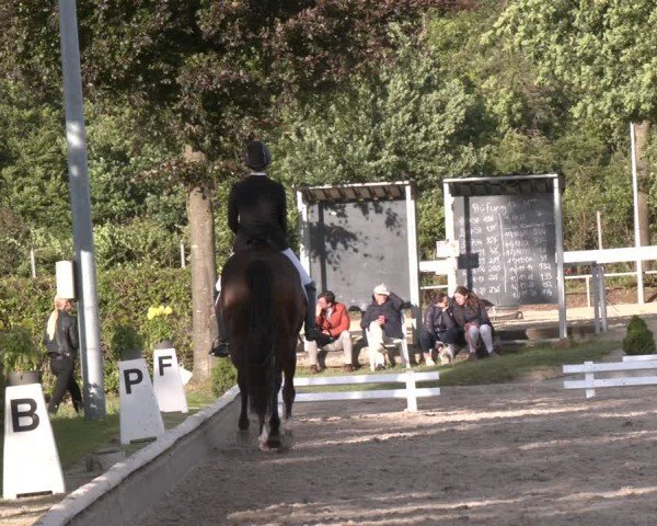 Reitturnier Fröndenberg 2024