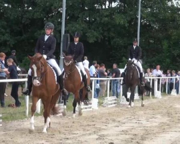 1876 Amelsbüren 2012