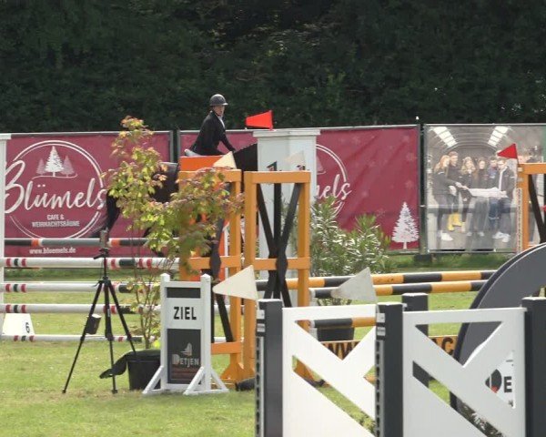 Reitturnier Wohlesbostel 2024