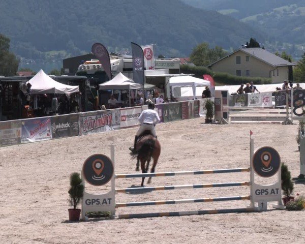 Springturnier Seewalchen 2024