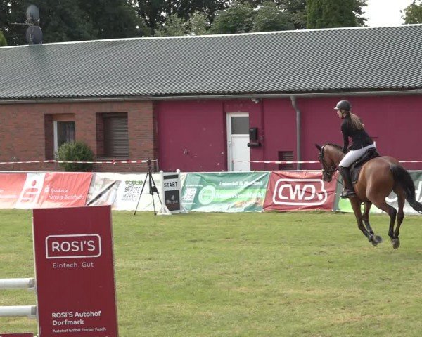 Reitturnier Wohlesbostel 2024