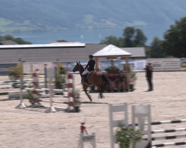 Springturnier Seewalchen 2024