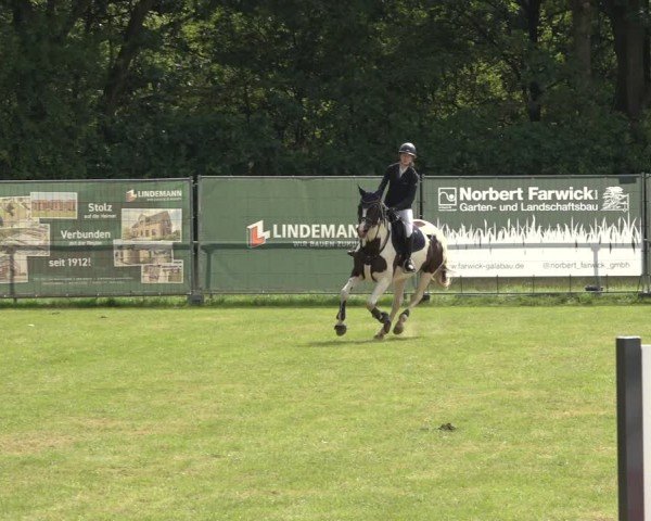 Reitturnier Wohlesbostel 2024