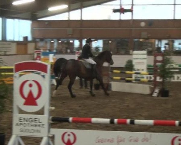 Reitturnier Südlohn-Oeding 2013