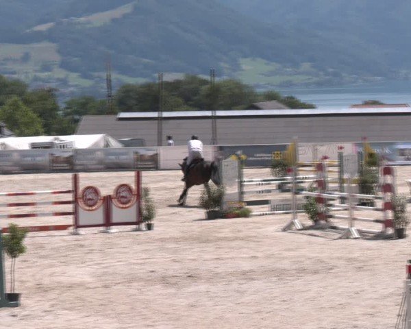 Springturnier Seewalchen 2024