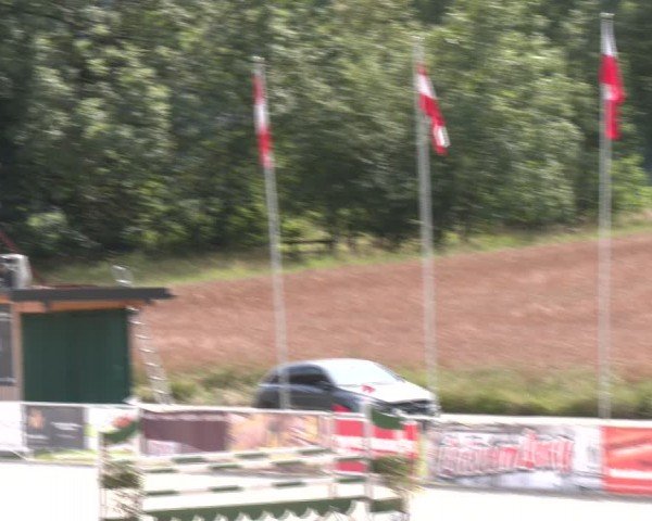 Springturnier Seewalchen 2024