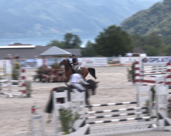 Springturnier Seewalchen 2024