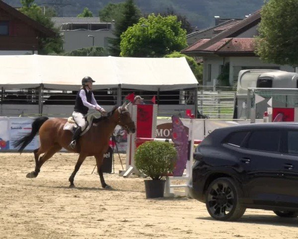 Reitturnier Rankweil 2024