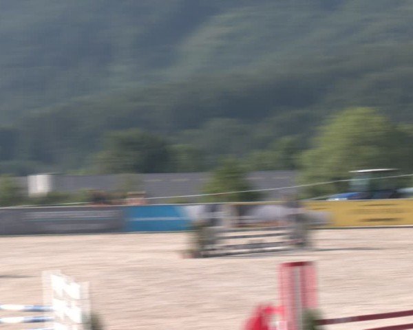 Springturnier Seewalchen 2024
