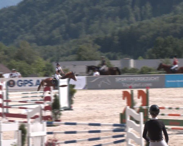 Springturnier Seewalchen 2024