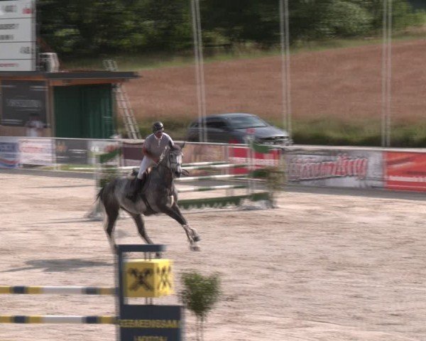 Springturnier Seewalchen 2024