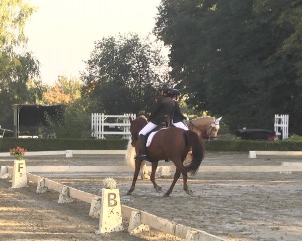 Reitturnier Neu-Anspach / Wintermühle 2021