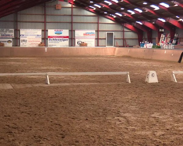 Reitturnier Behrendorf 2021