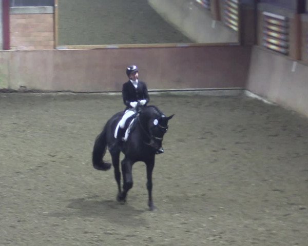 Reitturnier Herzebrock-Rheda 2021