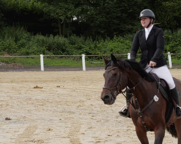 Reitturnier Heddesheim 2024