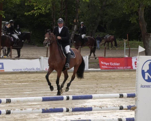 Reitturnier Heddesheim 2024