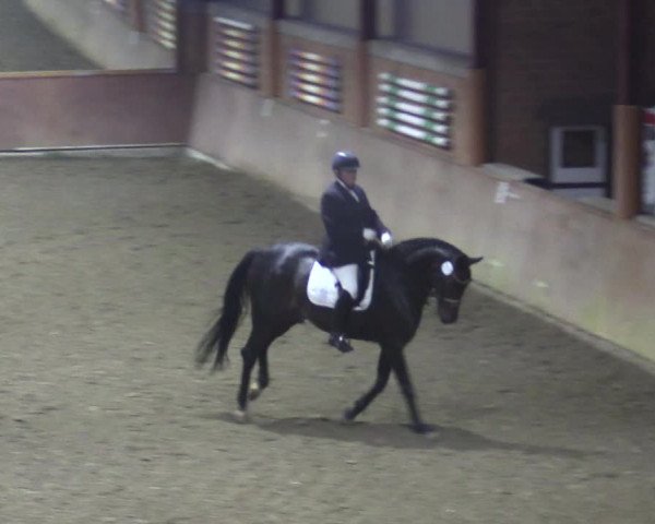 Reitturnier Herzebrock-Rheda 2021