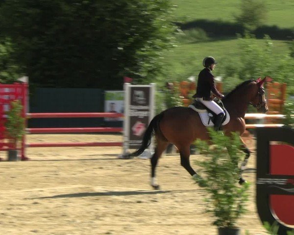 Reitturnier Lindlar-Süttenbach 2024